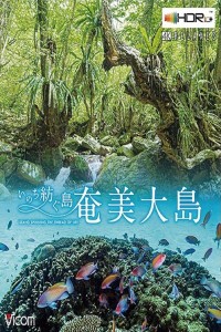 Đảo Amami Oshima Đảo Amami Oshima